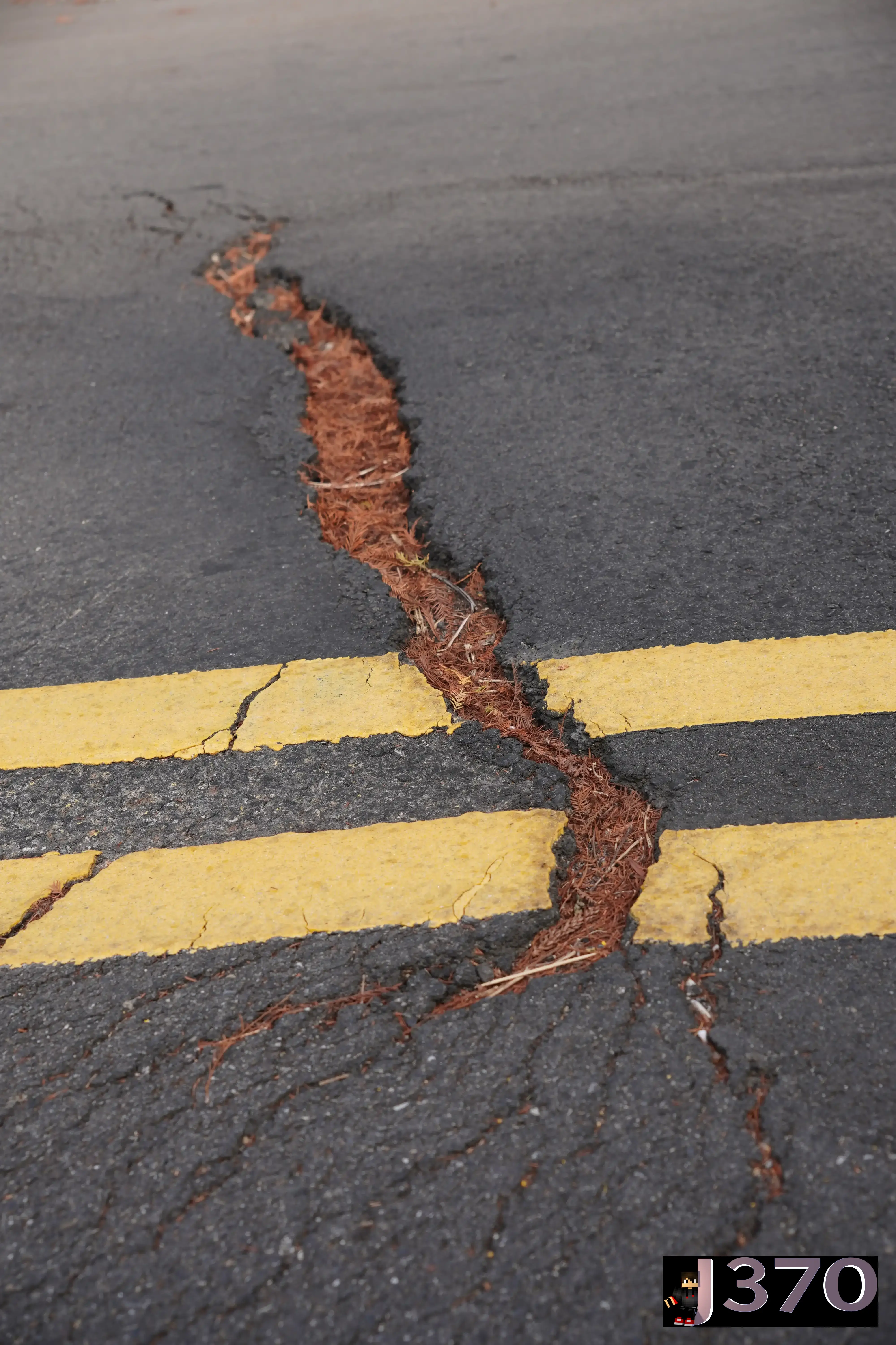 Crack in road