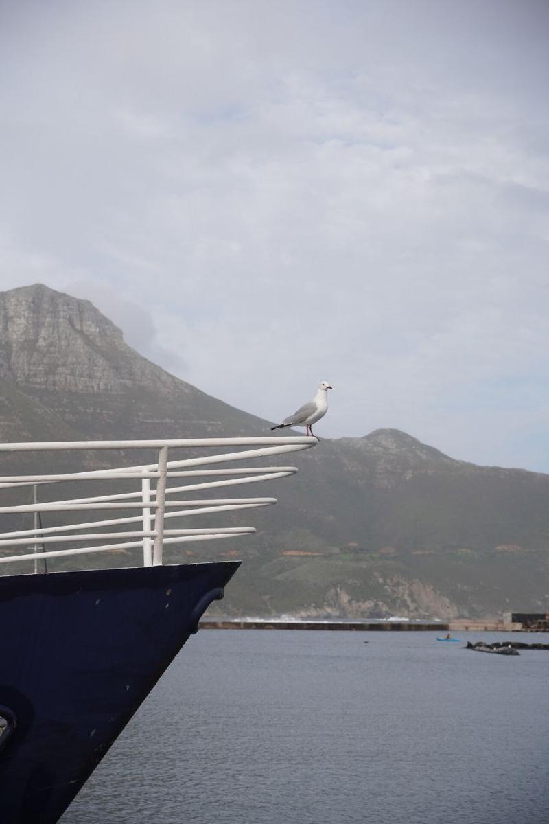 Hout Bay Harbour
